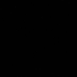 Meet your Posher, Adilene